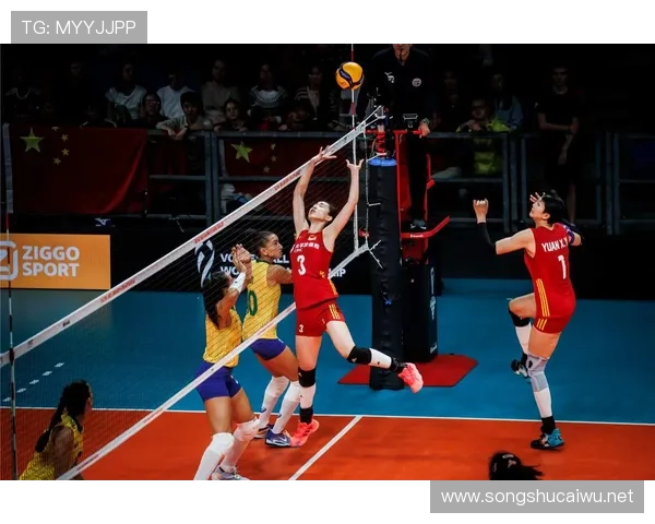 女排新浪体育联赛直播（女排 新浪体育）sports